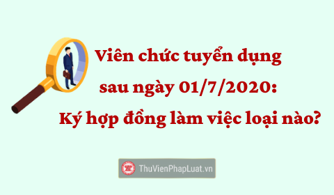 hop dong lam viec