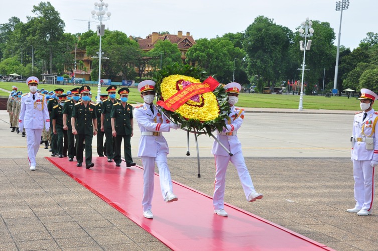 cuc gin giu hoa binh