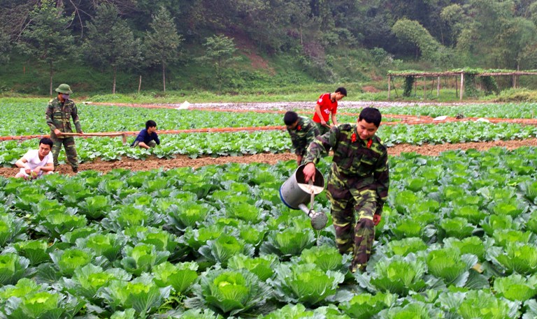 3. Nguoi To truong tam huyet